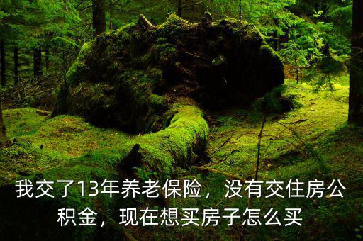 我交了13年養(yǎng)老保險，沒有交住房公積金，現(xiàn)在想買房子怎么買