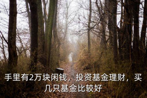 手里有2萬(wàn)塊閑錢，投資基金理財(cái)，買幾只基金比較好