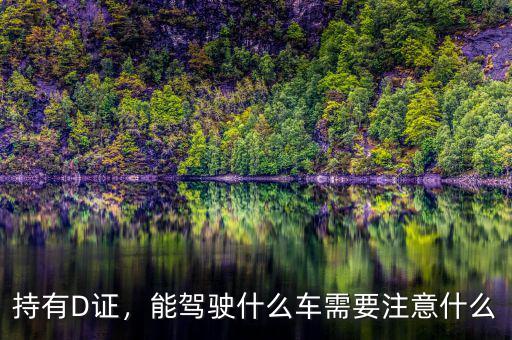 持有D證，能駕駛什么車需要注意什么