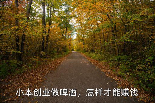 小本創(chuàng)業(yè)做啤酒，怎樣才能賺錢(qián)