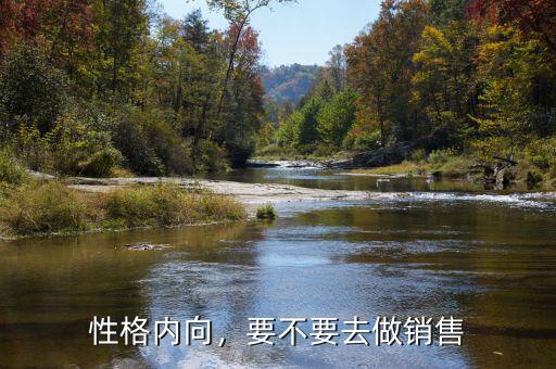 性格內向，要不要去做銷售