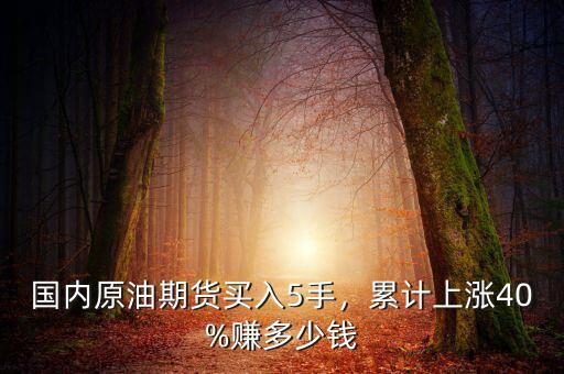 國內(nèi)原油期貨買入5手，累計上漲40%賺多少錢