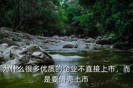 為什么很多優(yōu)質的企業(yè)不直接上市，而是要借殼上市