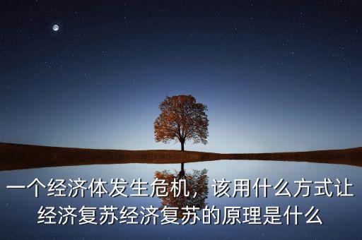 一個經(jīng)濟(jì)體發(fā)生危機(jī)，該用什么方式讓經(jīng)濟(jì)復(fù)蘇經(jīng)濟(jì)復(fù)蘇的原理是什么