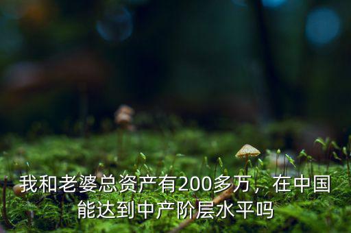 我和老婆總資產(chǎn)有200多萬，在中國能達(dá)到中產(chǎn)階層水平嗎