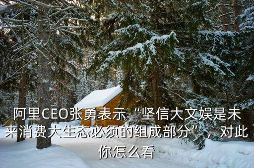 阿里CEO張勇表示“堅(jiān)信大文娛是未來消費(fèi)大生態(tài)必須的組成部分”，對此你怎么看