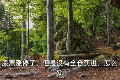 股票漲停了，但是沒有全倉買進，怎么辦