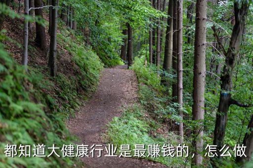 都知道大健康行業(yè)是最賺錢的，怎么做