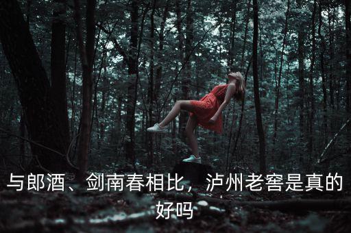 與郎酒、劍南春相比，瀘州老窖是真的好嗎