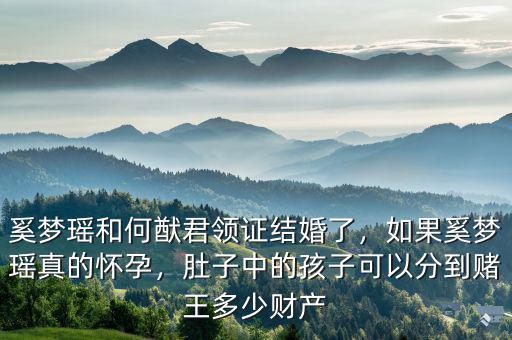 奚夢瑤和何猷君領證結婚了，如果奚夢瑤真的懷孕，肚子中的孩子可以分到賭王多少財產