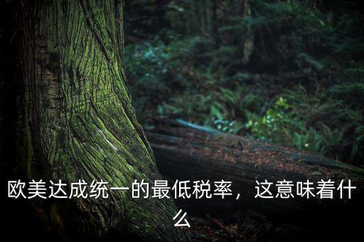 歐美達成統(tǒng)一的最低稅率，這意味著什么