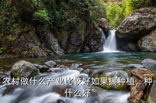 農(nóng)村做什么產(chǎn)業(yè)比較好如果搞種植，種什么好