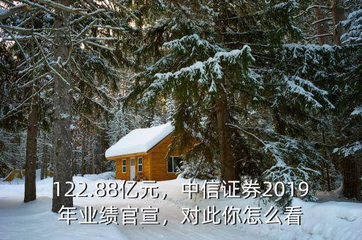 122.88億元，中信證券2019年業(yè)績官宣，對此你怎么看