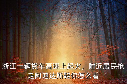 浙江一輛貨車高速上起火，附近居民搶走阿迪達(dá)斯鞋你怎么看