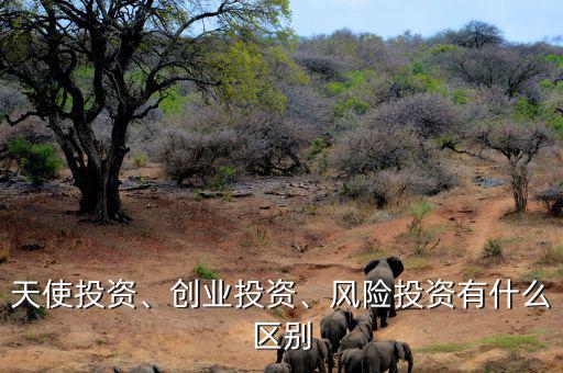 天使投資、創(chuàng)業(yè)投資、風(fēng)險(xiǎn)投資有什么區(qū)別