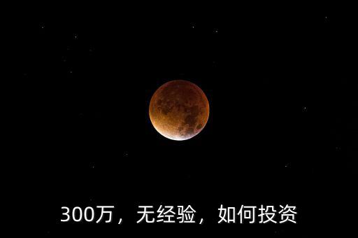 300萬(wàn)，無(wú)經(jīng)驗(yàn)，如何投資