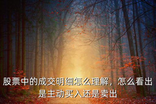 股票中的成交明細(xì)怎么理解，怎么看出是主動(dòng)買入還是賣出