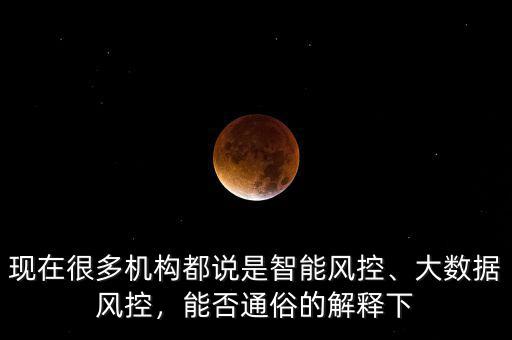 現(xiàn)在很多機構(gòu)都說是智能風控、大數(shù)據(jù)風控，能否通俗的解釋下