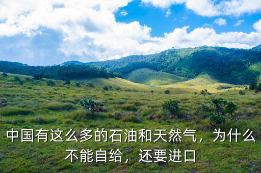 中國有這么多的石油和天然氣，為什么不能自給，還要進口