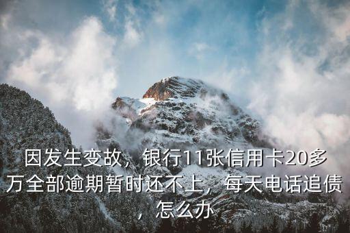 因發(fā)生變故，銀行11張信用卡20多萬全部逾期暫時(shí)還不上，每天電話追債，怎么辦