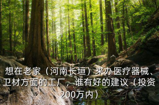 想在老家（河南長垣）來辦醫(yī)療器械、衛(wèi)材方面的工廠，誰有好的建議（投資200萬內(nèi)）