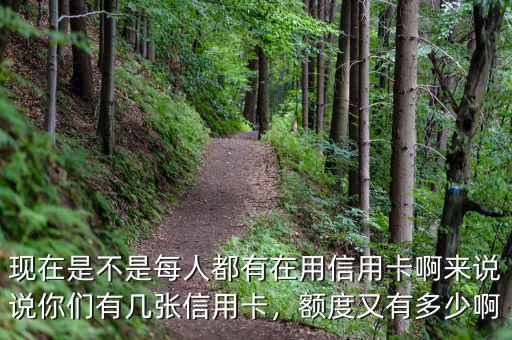 現(xiàn)在是不是每人都有在用信用卡啊來說說你們有幾張信用卡，額度又有多少啊