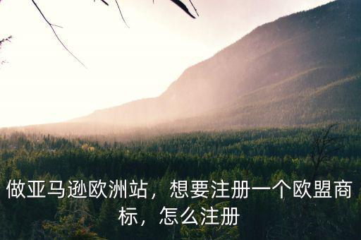做亞馬遜歐洲站，想要注冊(cè)一個(gè)歐盟商標(biāo)，怎么注冊(cè)