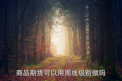 商品期貨可以用周線(xiàn)級(jí)別做嗎