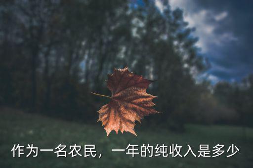作為一名農(nóng)民，一年的純收入是多少