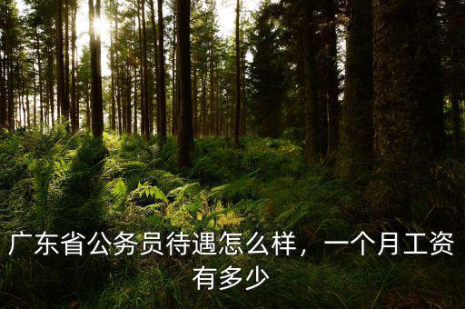廣東省公務(wù)員待遇怎么樣，一個月工資有多少