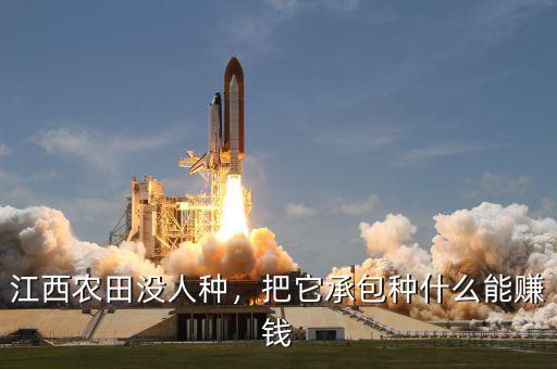 江西農(nóng)田沒人種，把它承包種什么能賺錢