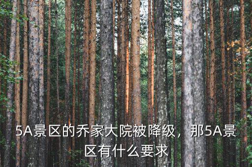 5A景區(qū)的喬家大院被降級，那5A景區(qū)有什么要求