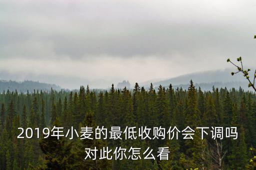 2019年小麥的最低收購價(jià)會(huì)下調(diào)嗎對(duì)此你怎么看