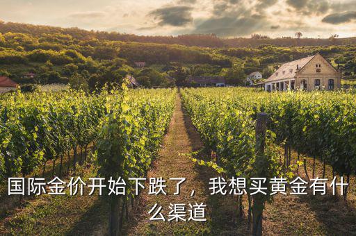 國際金價開始下跌了，我想買黃金有什么渠道