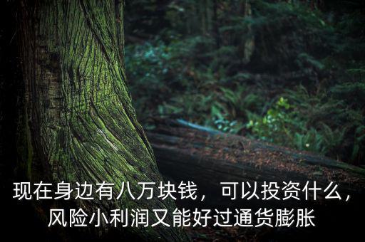 現(xiàn)在身邊有八萬塊錢，可以投資什么，風(fēng)險小利潤又能好過通貨膨脹
