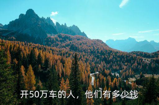 開50萬車的人，他們有多少錢