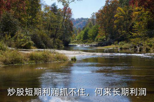 炒股短期利潤抓不住，何來長期利潤