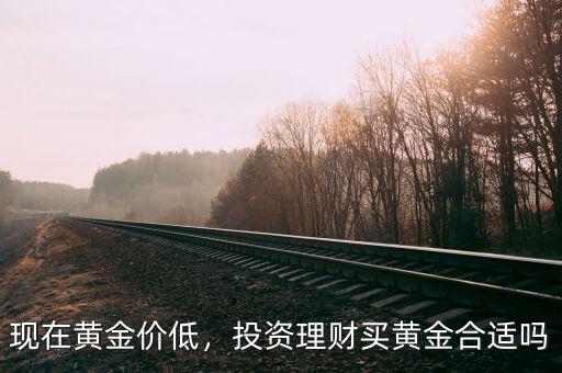 現(xiàn)在黃金價(jià)低，投資理財(cái)買黃金合適嗎