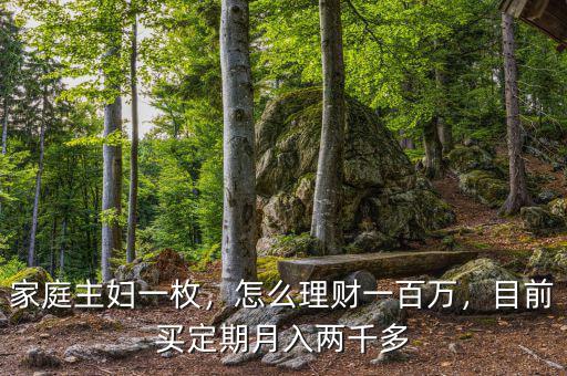 家庭主婦一枚，怎么理財(cái)一百萬(wàn)，目前買(mǎi)定期月入兩千多