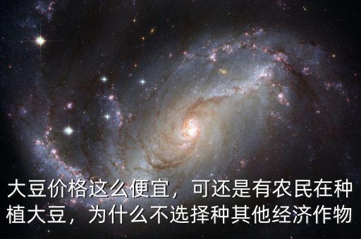 大豆價格這么便宜，可還是有農(nóng)民在種植大豆，為什么不選擇種其他經(jīng)濟作物