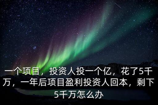 一個項目，投資人投一個億，花了5千萬，一年后項目盈利投資人回本，剩下5千萬怎么辦