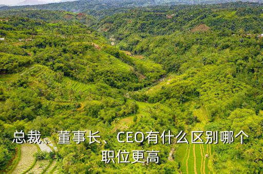 總裁、董事長(zhǎng)、CEO有什么區(qū)別哪個(gè)職位更高
