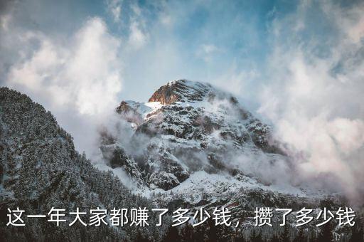這一年大家都賺了多少錢，攢了多少錢