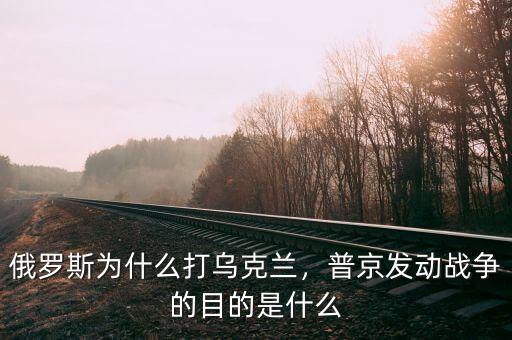 俄羅斯為什么打?yàn)蹩颂m，普京發(fā)動(dòng)戰(zhàn)爭(zhēng)的目的是什么