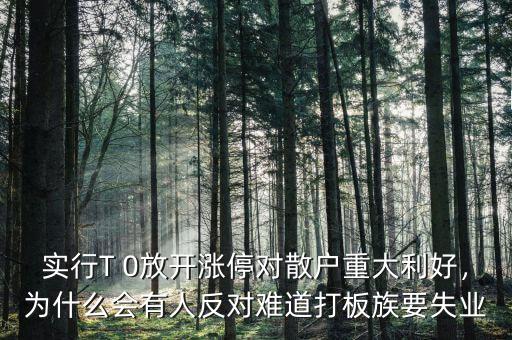 實(shí)行T 0放開(kāi)漲停對(duì)散戶(hù)重大利好，為什么會(huì)有人反對(duì)難道打板族要失業(yè)