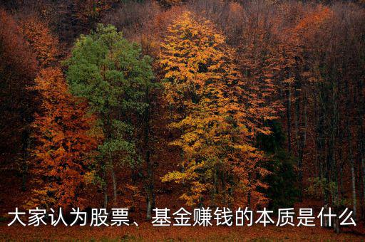 大家認為股票、基金賺錢的本質(zhì)是什么