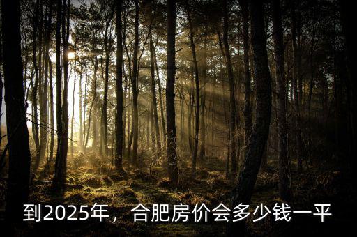 到2025年，合肥房價(jià)會多少錢一平
