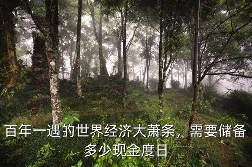 百年一遇的世界經(jīng)濟(jì)大蕭條，需要儲(chǔ)備多少現(xiàn)金度日