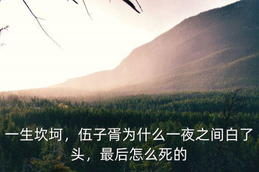 一生坎坷，伍子胥為什么一夜之間白了頭，最后怎么死的