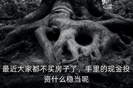 最近大家都不買房子了，手里的現(xiàn)金投資什么穩(wěn)當呢